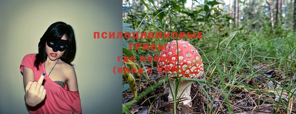 соль курить ск Каменногорск