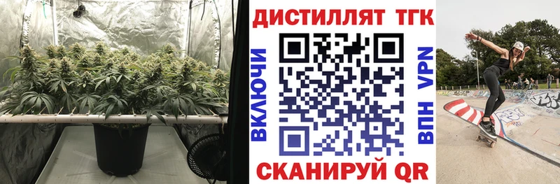 ТГК THC oil  Купить  Заинск 